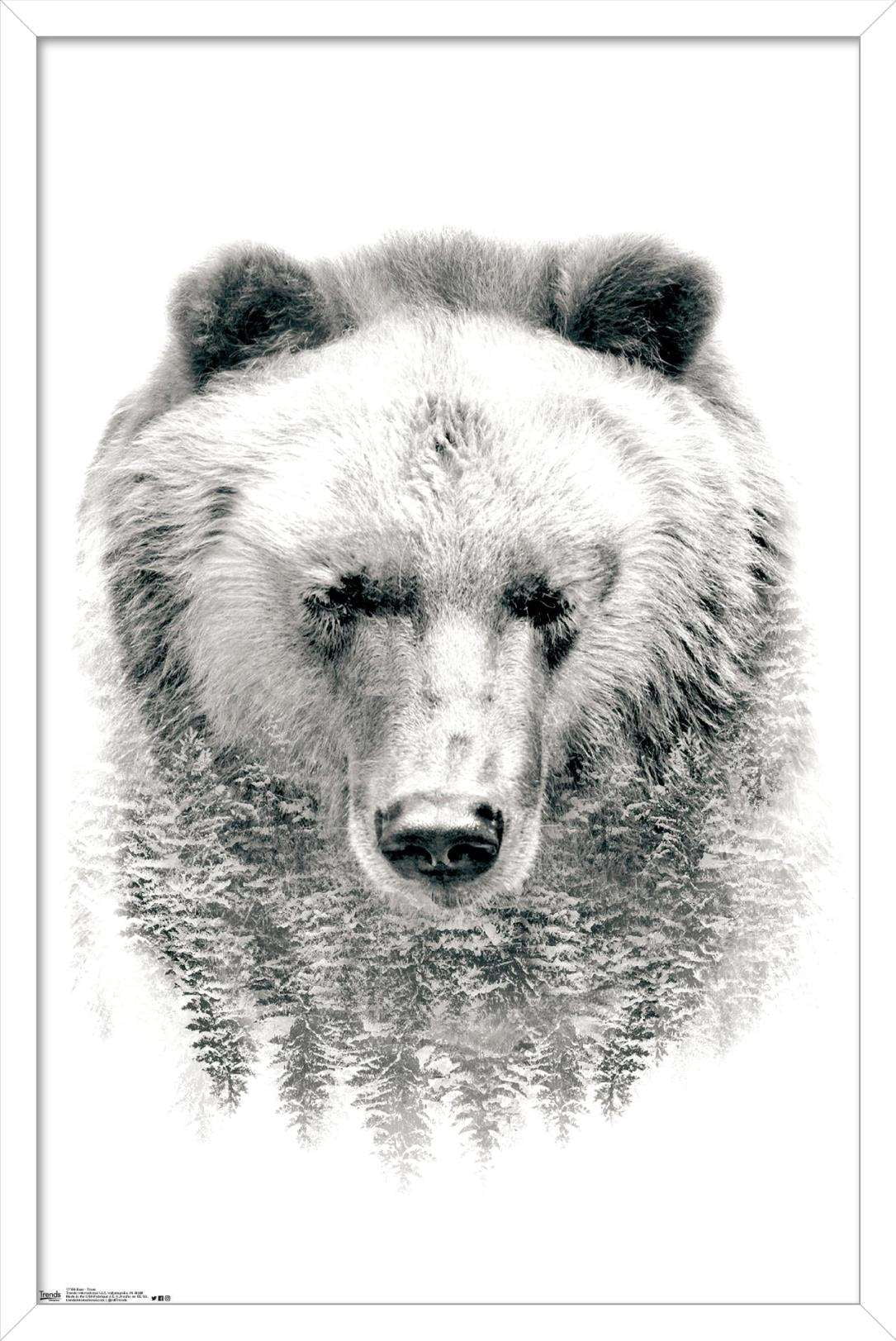 Bear - Trees Wall Poster, 14.725" x 22.375", Framed