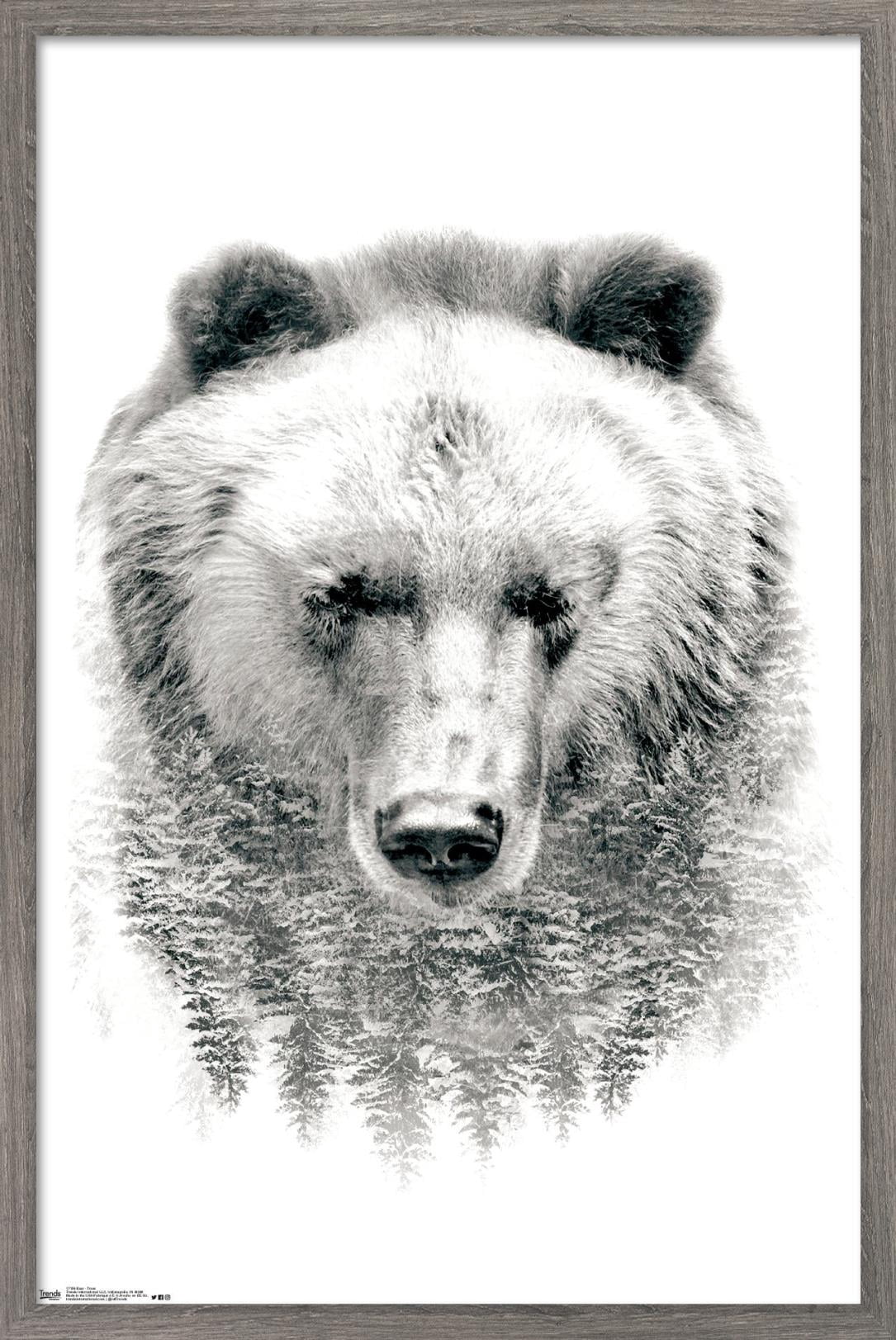 Bear - Trees Wall Poster, 14.725" x 22.375", Framed