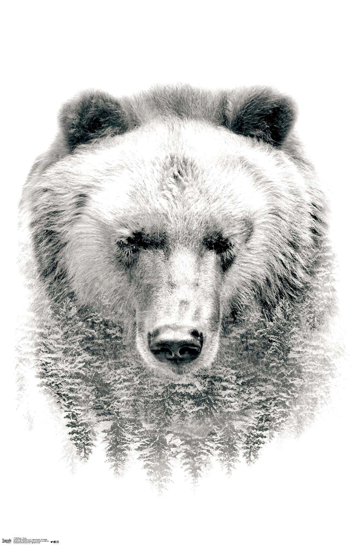 Bear - Trees Wall Poster, 14.725" x 22.375"