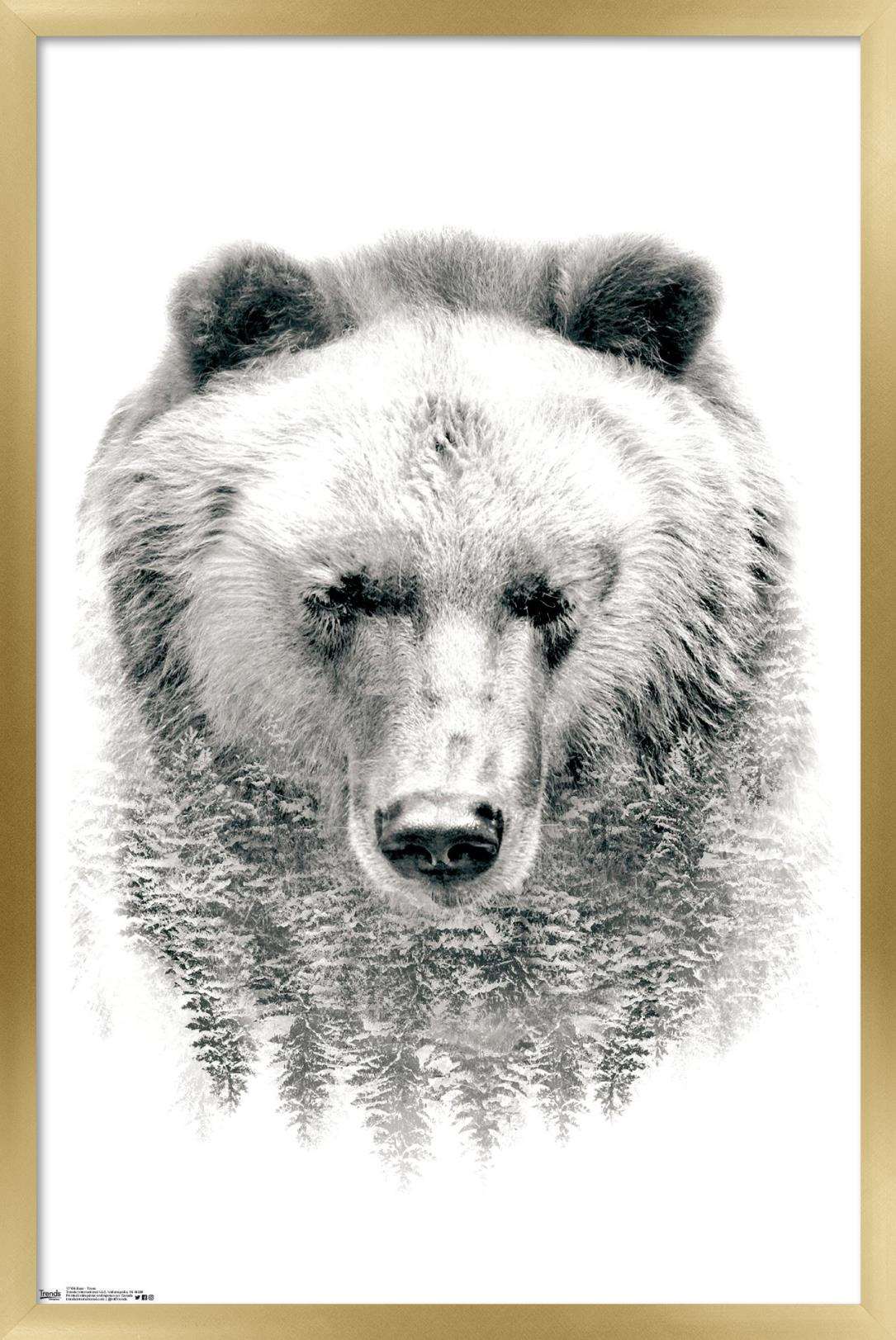 Bear - Trees Wall Poster, 22.375" x 34", Framed
