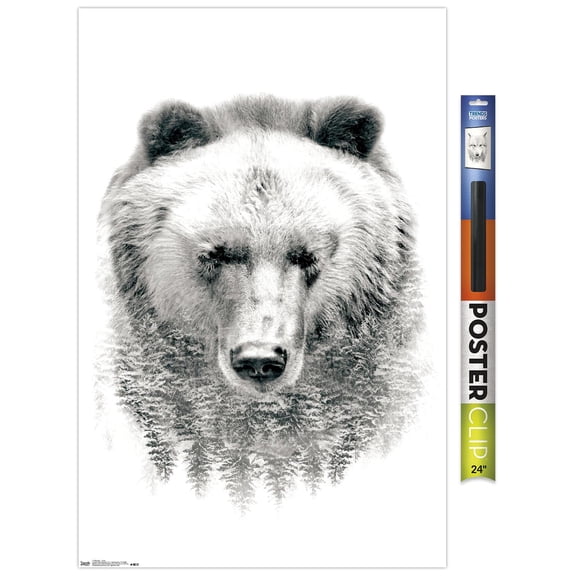Bear - Trees Wall Poster, 22.375" x 34"