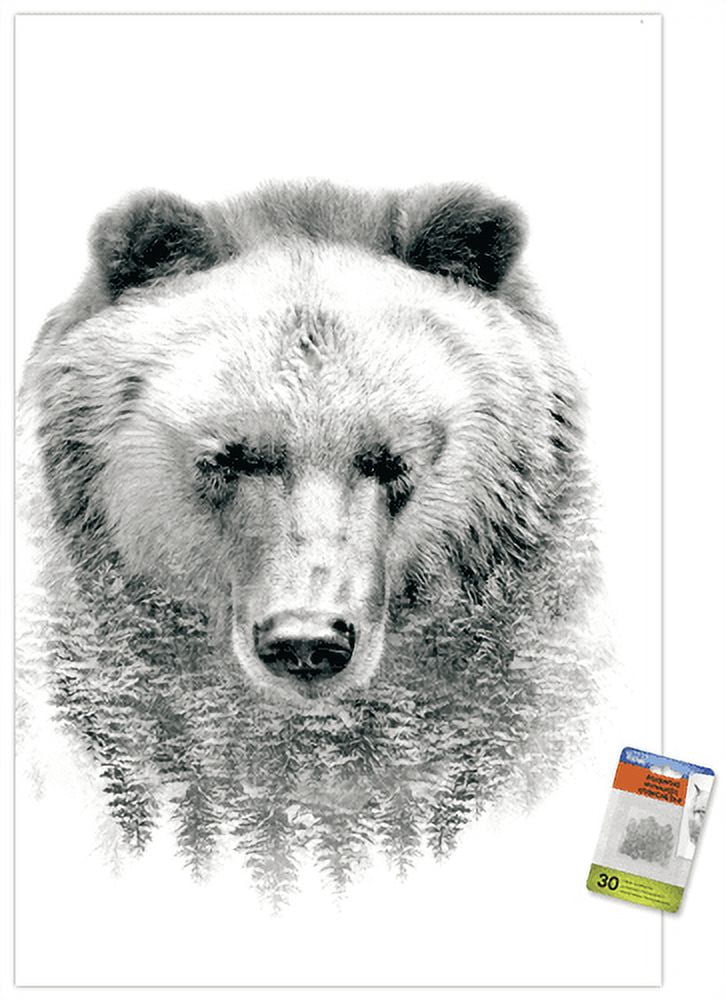Bear - Trees Wall Poster with Push Pins, 22.375" x 34"
