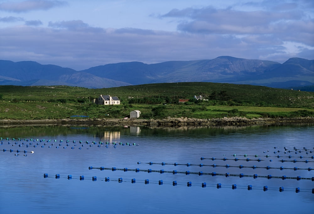 Beara Co Cork Ireland Mussel Farm Canvas Art - The Irish Image Collection Design Pics (18 x 12)