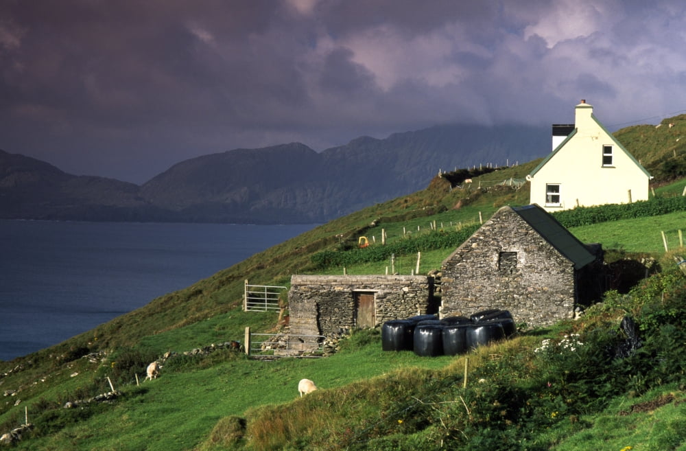 Beara Peninsula County Cork Ireland Rustic Farmhouses On Hill Canvas Art - Richard Cummins Design Pics (38 x 24)