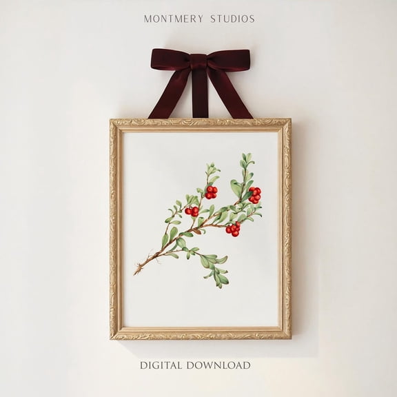 Bearberry Plant Art, Print Poster, Winter Botanical Print Poster, Minimalist Botanical Wall Art Poster, , CH27, Stretched Canvas Size 8x12 F03.1.19l280