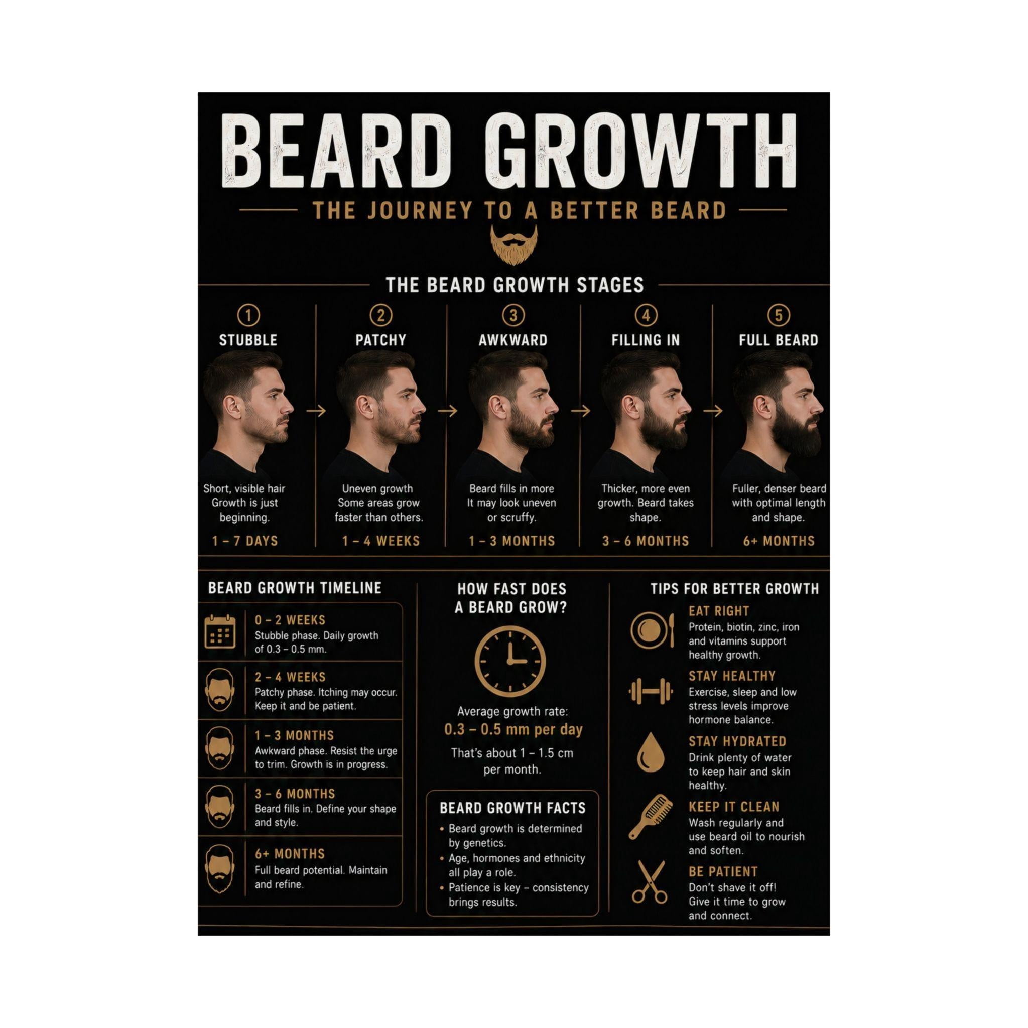 Beard Growth Infographic Poster Facial Hair Guide - Walmart.com