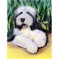 thumbnail image 1 of Bearded Collie Flag - Garden Size, 11 x 15 in., 1 of 1