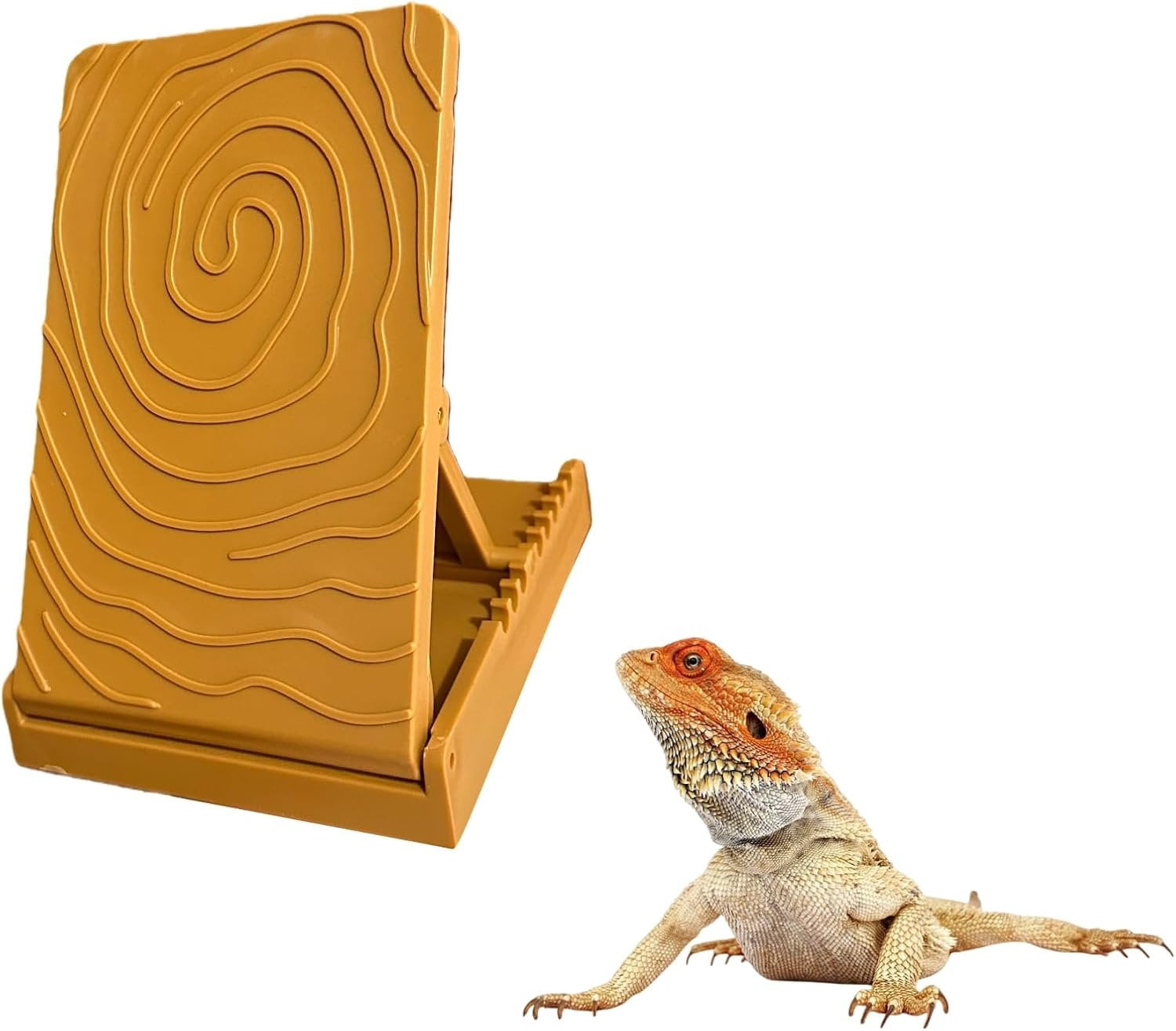 Bearded Dragon Accessories, Adjustable Plastic Climbing Ramp with Anti ...