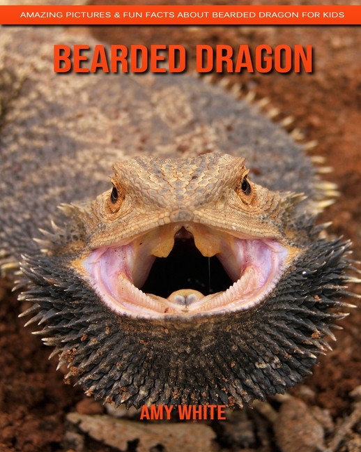 Bearded Dragon : Amazing Pictures & Fun Facts about Bearded Dragon for Kids (Paperback) - image 1 of 1