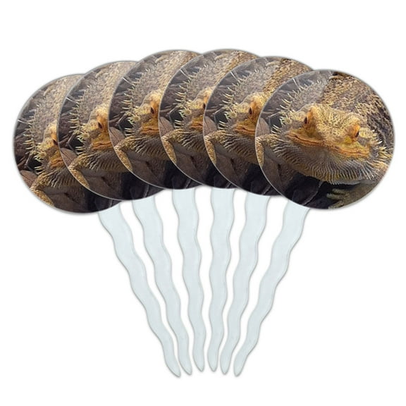 Bearded Dragon Beardie Lizard Reptile Cupcake Picks Toppers - Set of 6