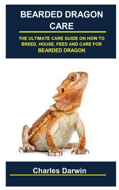 Bearded Dragon Humidity: The Ultimate Care Guide