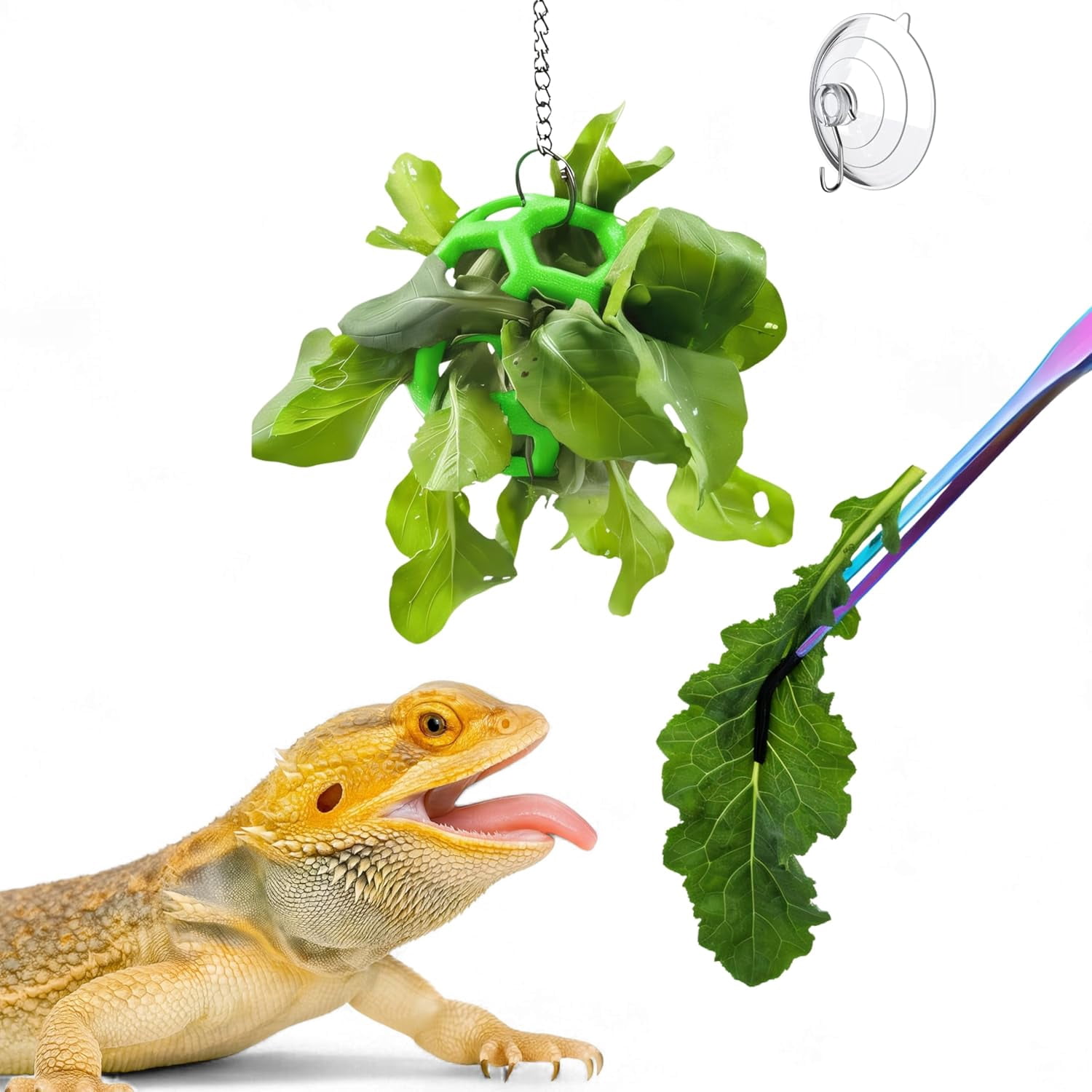 Image showcasing Bearded Dragon Enrichment Toys with Veggie Feeder Ball and Feeding ...