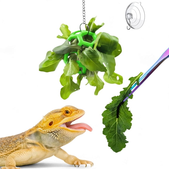 Bearded Dragon Enrichment Toys with Veggie Feeder Ball and Feeding Tongs, Greens Training Kit, Reptile Tank Accessories, Green