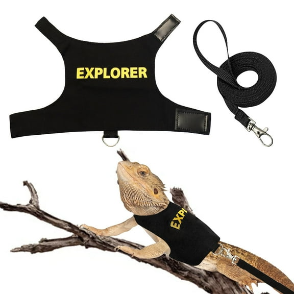 Bearded Dragon Harness Leash - Premium Reptile Lead for Safe Walking & Training | Adjustable, Secure & Comfortable