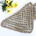 thumbnail image 1 of Bearded Dragon Tank Accessories, Include Reptile Mat Hammock Plants Bridge Jungle Climber Vines Terrarium Decorations for Bearded Dragon Lizard Snake, 1 of 9