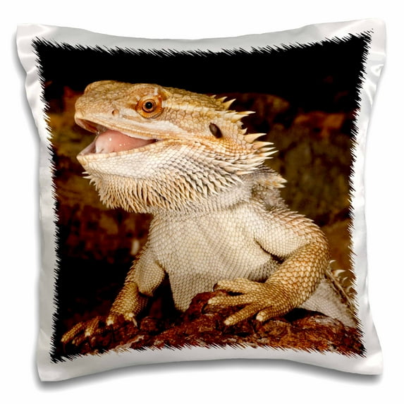 3dRose, Bearded Dragon lizard, Native to Australia - NA02 DNO0680 - David Northcott, 16x16 inch Pillow Case