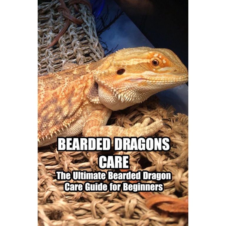 Bearded Dragon Care 101