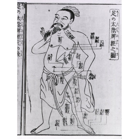 Bearded Figure With Acupuncture Points And Meridians Labeled With Japanese Characters. From A Medical Text Published In