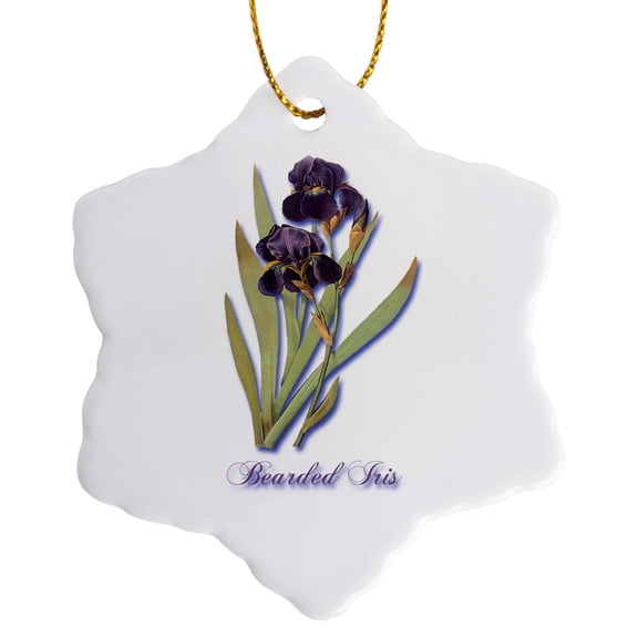 Bearded Iris, Botanical Print Of Dark Purple Flowers With Orange, 3 inch Snowflake Porcelain Ornament