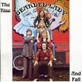 thumbnail image 1 of Bearded Lady - Rise & Fall [CD], 1 of 1
