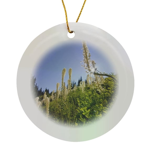 3drose, Beargrass, Whitefish Mountain Resort, Montana - Us27 Cha1992 - Chuck Haney, Circle Porcelain Ornament