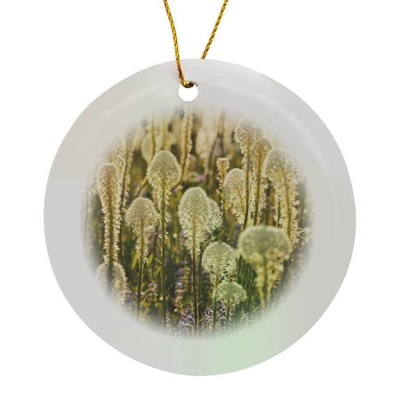 3drose, Beargrass, Whitefish Mountain Resort, Montana - Us27 Cha1995 - Chuck Haney, Circle Porcelain Ornament