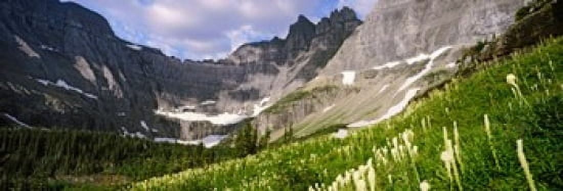 Beargrass (Xerophyllum tenax) with mountains in the background US Glacier National Park Montana USA Canvas Art - Panoramic Images (18 x 7)