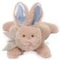 thumbnail image 1 of Bearington Collection Baby Bunny Tail Plush Stuffed Animal Bunny with Rattle - 8 inches Newborn Toys - Stuffed Rabbit for Baby, 1 of 7