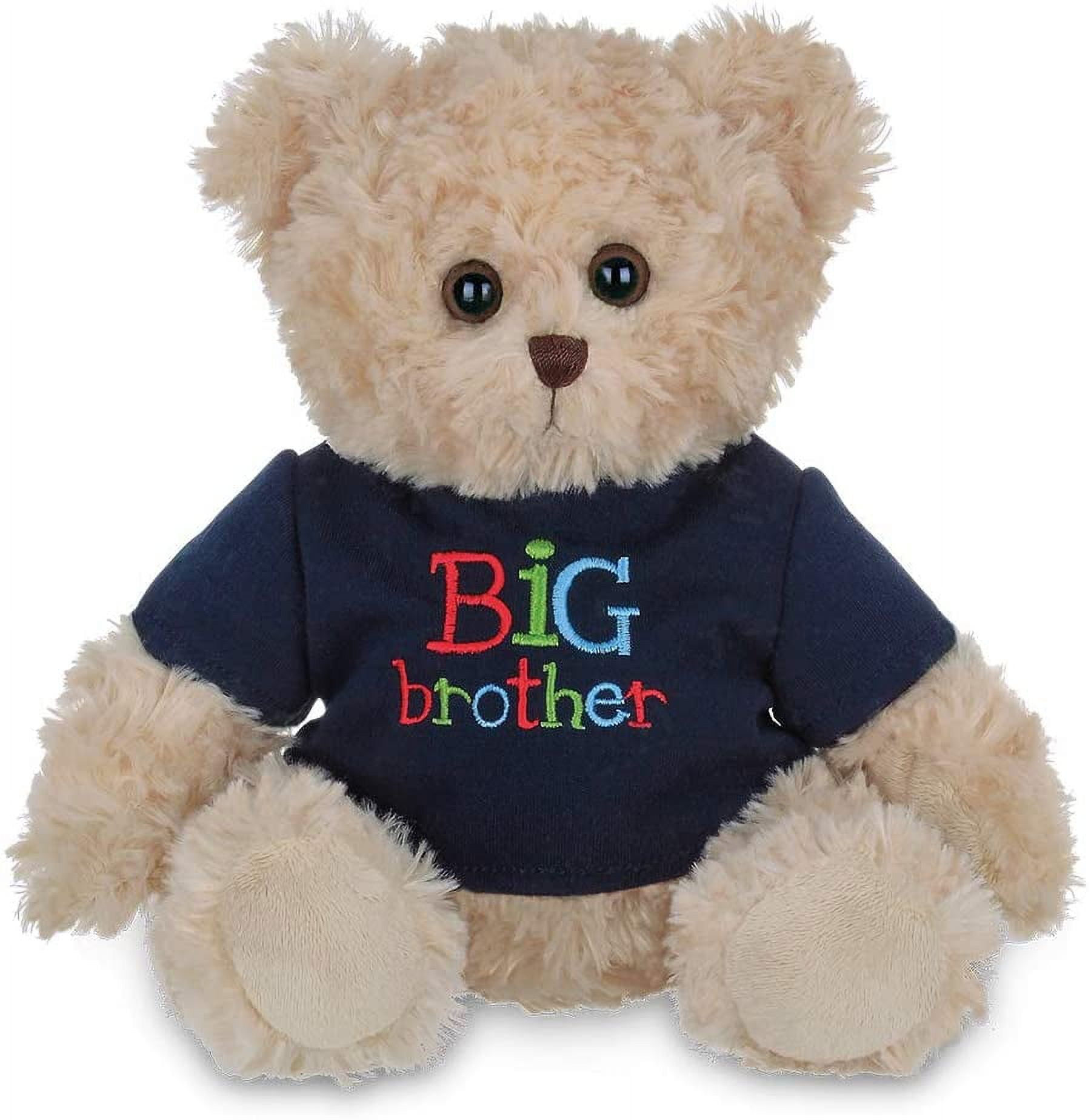 Big brother plush discount