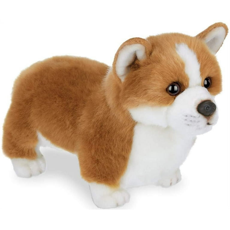 Corgi Dog Soft Stuffed Plush Toy – Gage Beasley