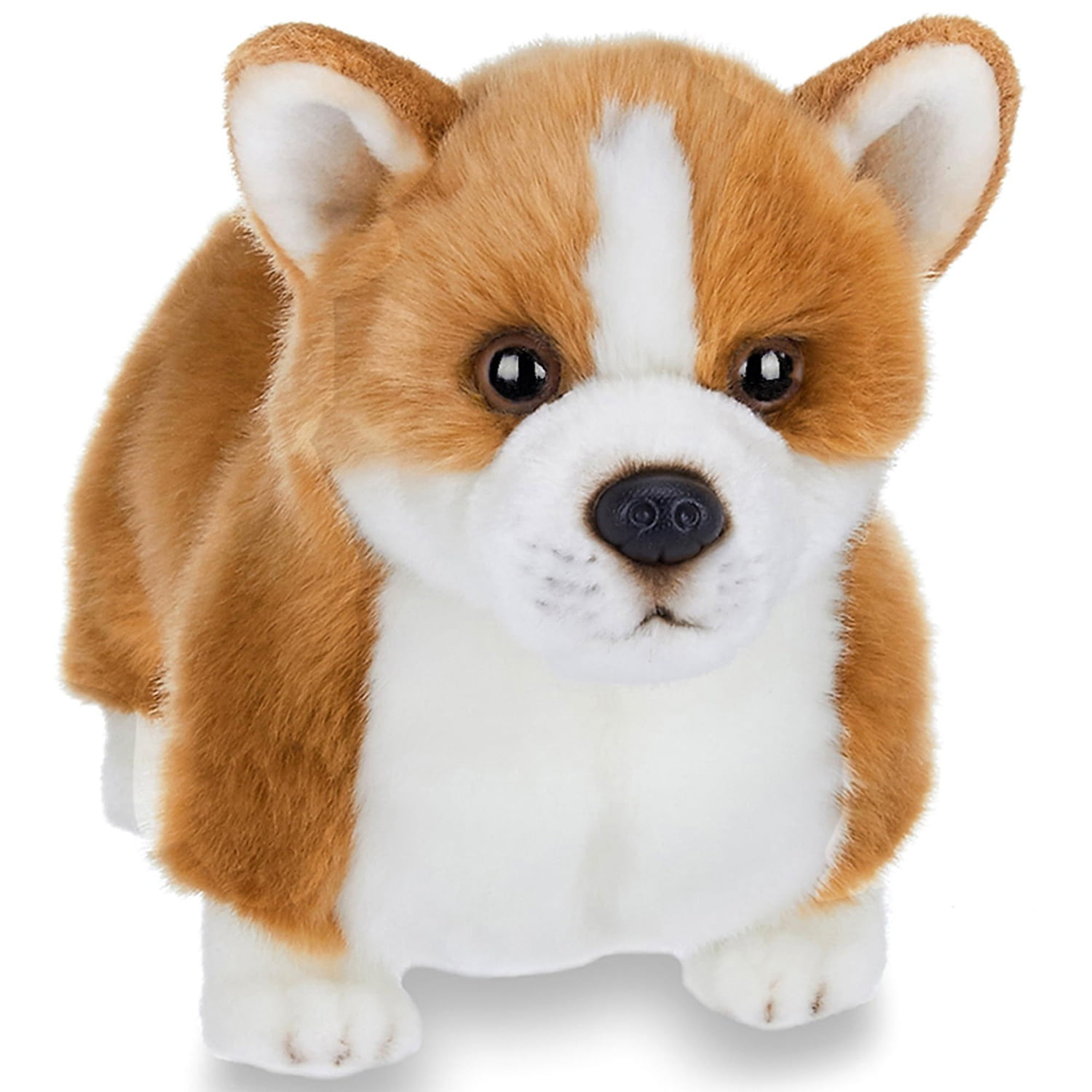 Corgi teddy bear dog online