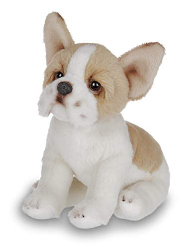 Chihuahua Kids Toys