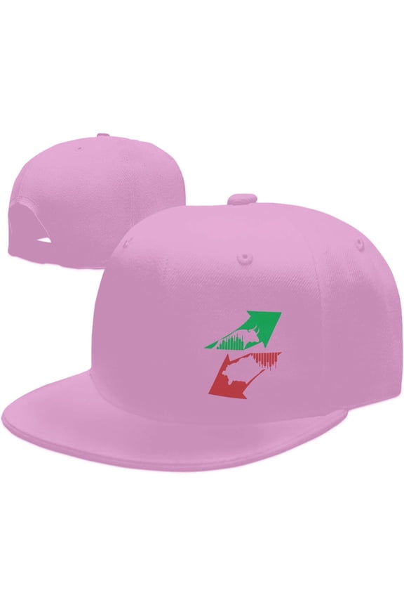 Bearish and Bullish in Stock Market Science Hat Fashion Trucker Hat Flat Brim Baseball Caps