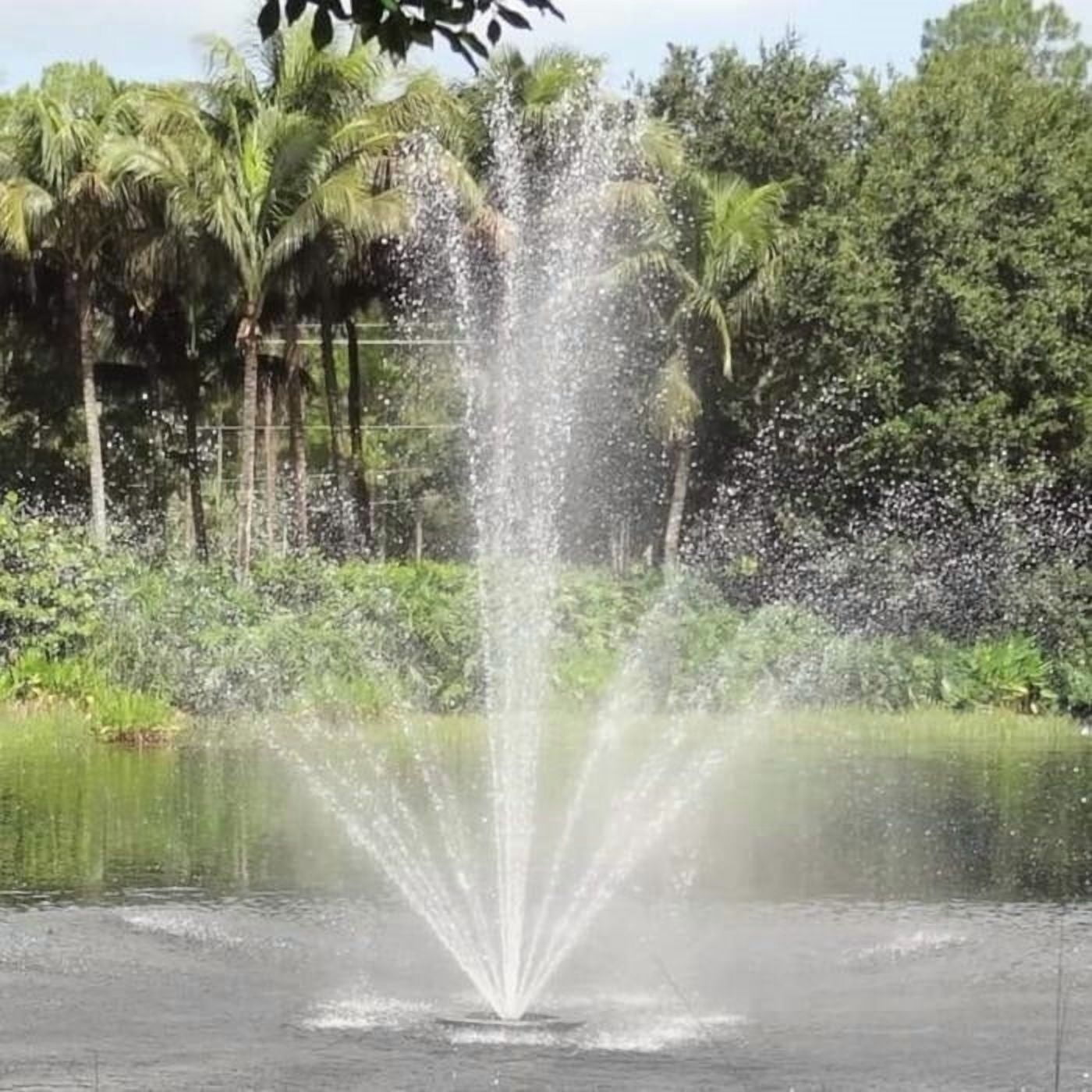 Bearon Aquatics Olympus Floating Pond Fountain