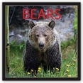 thumbnail image 1 of Bears 2018 Calendar, 1 of 2