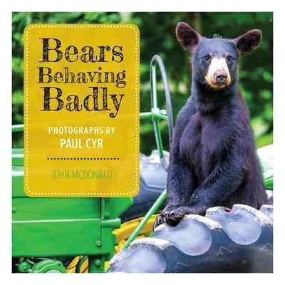 BEARS BEHAVING BADLY