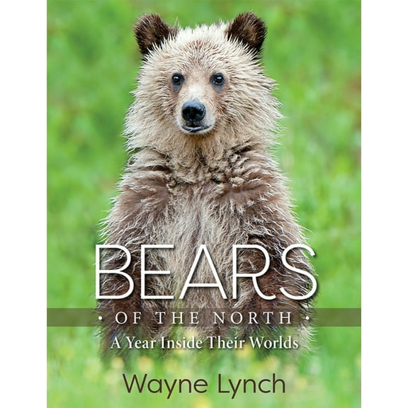 Bears of the North: A Year Inside Their Worlds, (Hardcover)