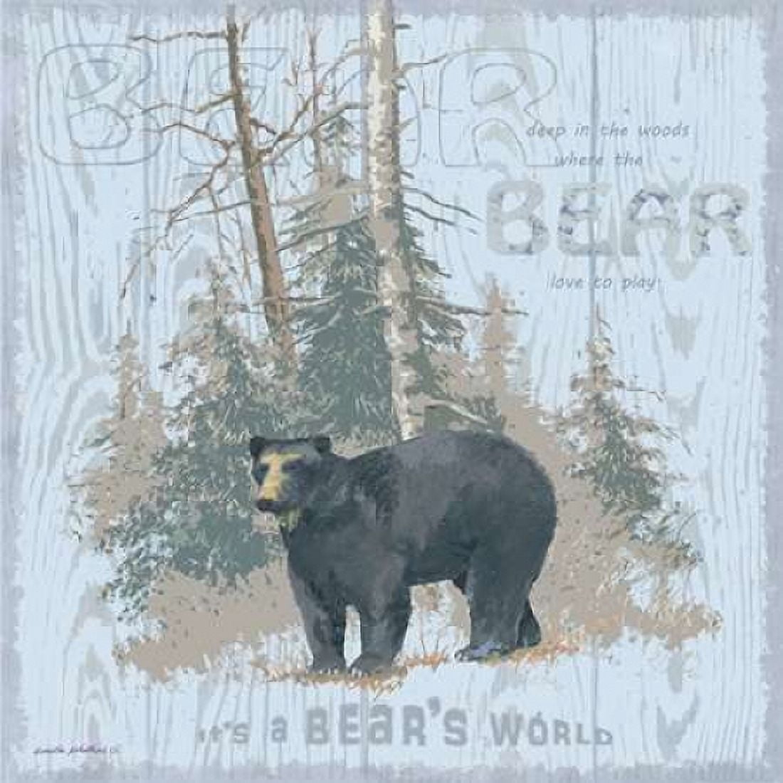 Bears World Gray Canvas Art - Anita Phillips (24 x 24)