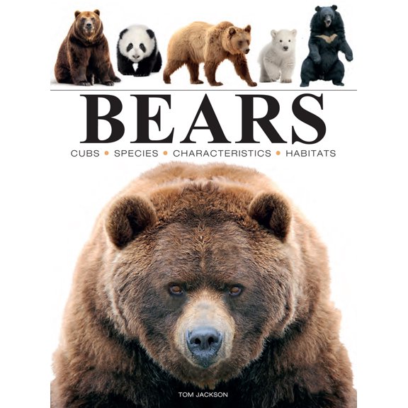 Pre-Owned Bears (Paperback) 1838863583 9781838863586