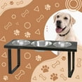 thumbnail image 1 of Bearwood Essentials Elevate Your Pet's Dining Experience with 3-Bowl Industrial Elevated Dog Feeder, 1 of 5