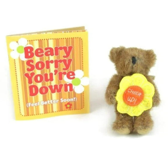 Beary Sorry Youre Down by The Boyds Collection