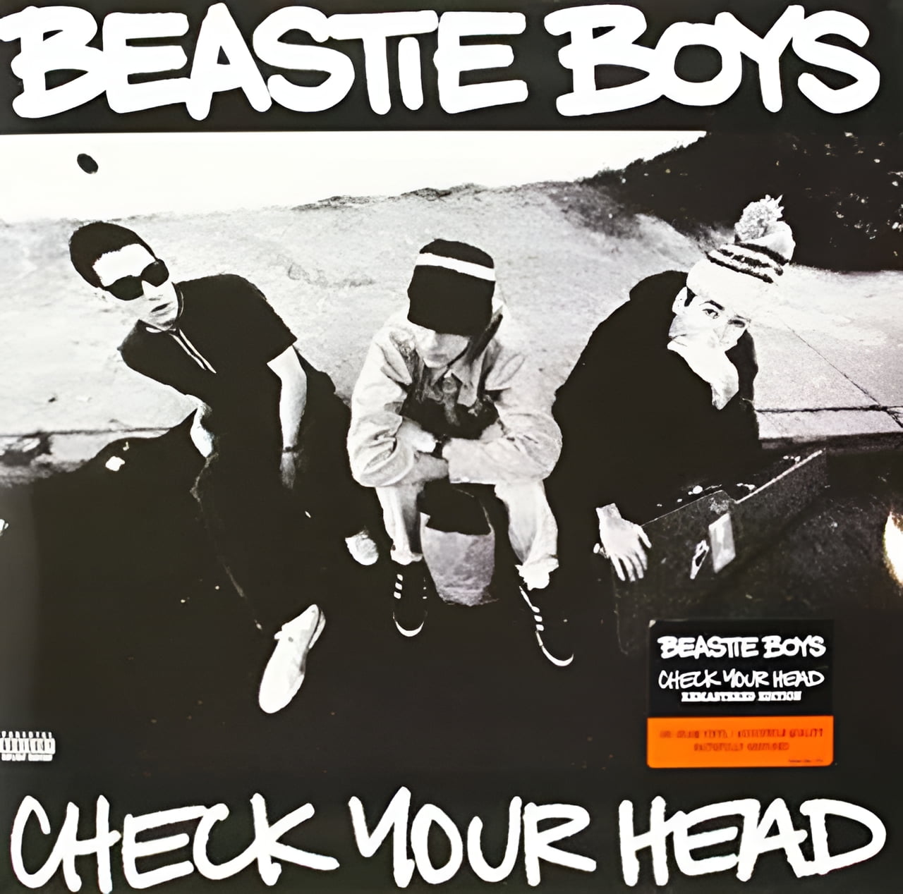 Beastie Boys - Check Your Head - Music & Performance - Vinyl