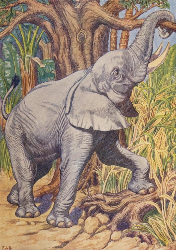 Beasts Shown to the Children nd African Elephant Canvas Art - Percy J Billinghurst (18 x 24)