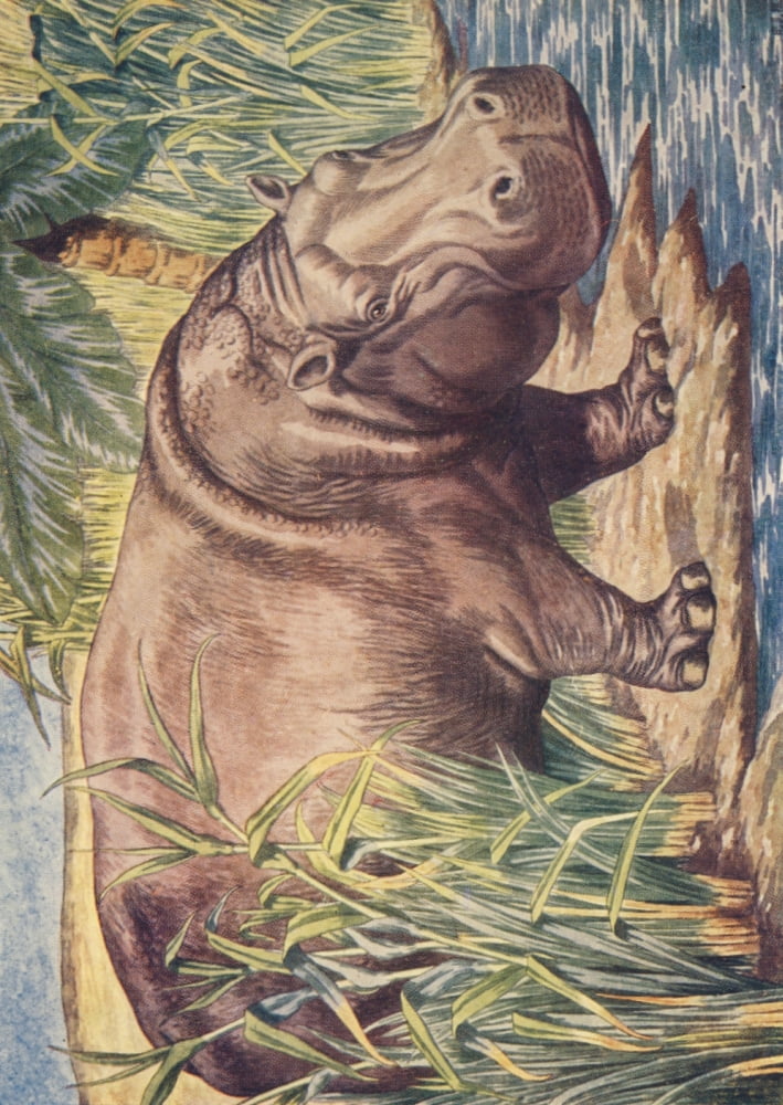 Beasts Shown to the Children nd Hippopotamus Canvas Art - Percy J Billinghurst (18 x 24)