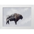 thumbnail image 1 of Beata, Angyalosi 14x11 White Modern Wood Framed Museum Art Print Titled - Bison - Double Exposure, 1 of 4