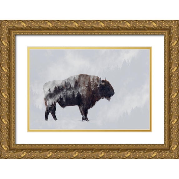 Beata, Angyalosi 18x13 Gold Ornate Wood Framed with Double Matting Museum Art Print Titled - Bison - Double Exposure