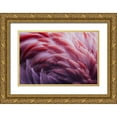 thumbnail image 1 of Beata, Angyalosi 32x23 Gold Ornate Wood Framed with Double Matting Museum Art Print Titled - Flamingo, 1 of 4