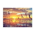 thumbnail image 1 of Beata Czyzowska Young 'Afternoon Glow' Canvas Art, 1 of 3