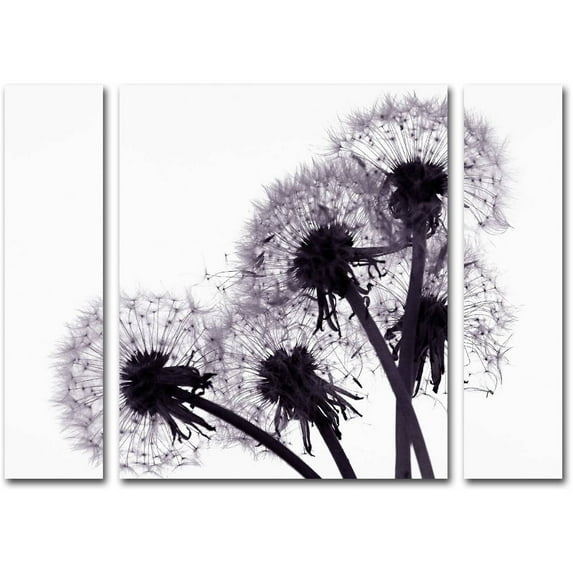 Beata Czyzowska Young 'Bunch of Wishes' Multi Panel Art Set Small