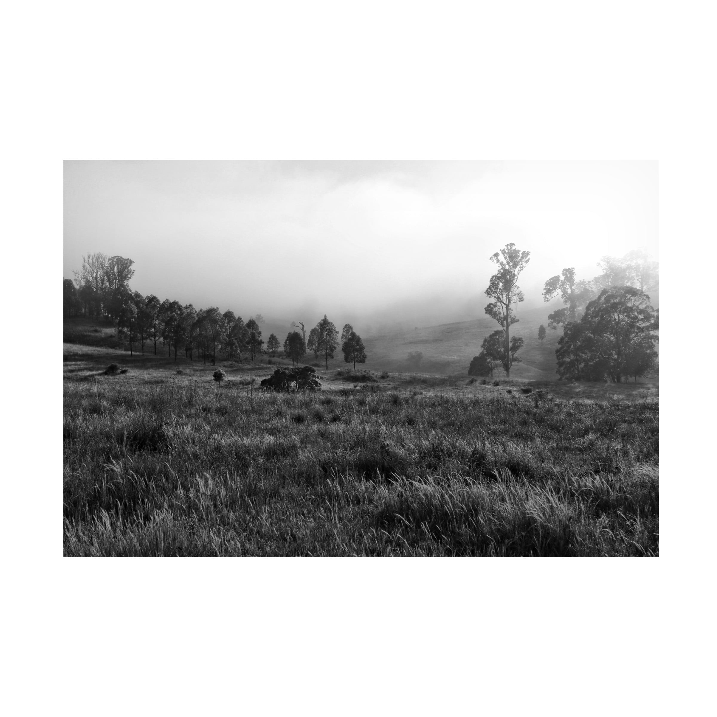 Beata Czyzowska Young 'Foggy Mood 8' Canvas Art